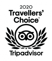 travelers choice 2020_small